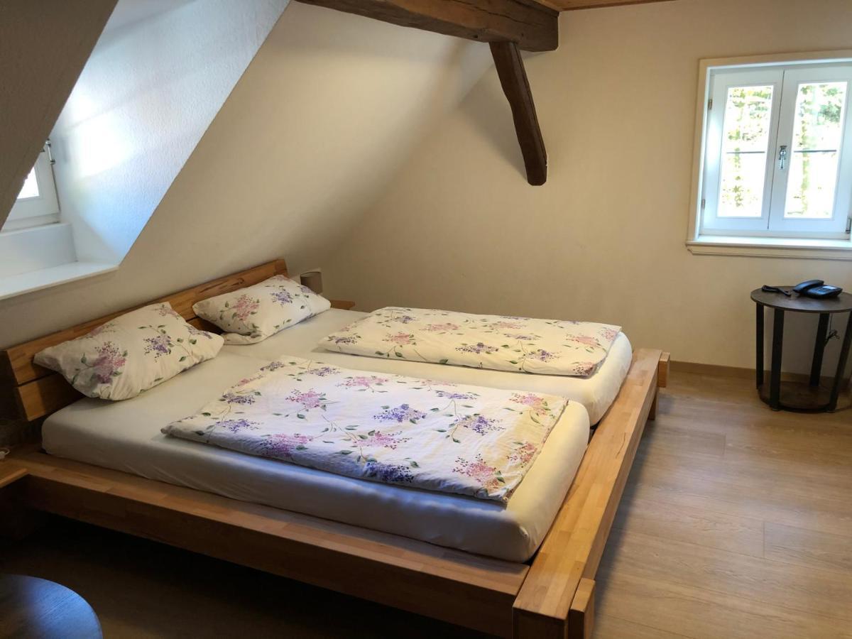 Pension Untere Muehle Burghaun Extérieur photo